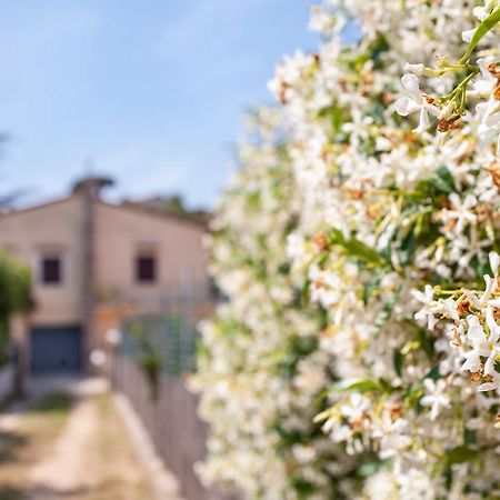 Villetta Capo Bianco - Goelba Portoferraio Zewnętrze zdjęcie